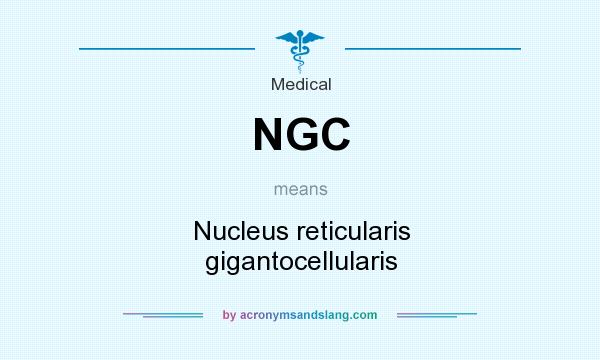 What does NGC mean? It stands for Nucleus reticularis gigantocellularis