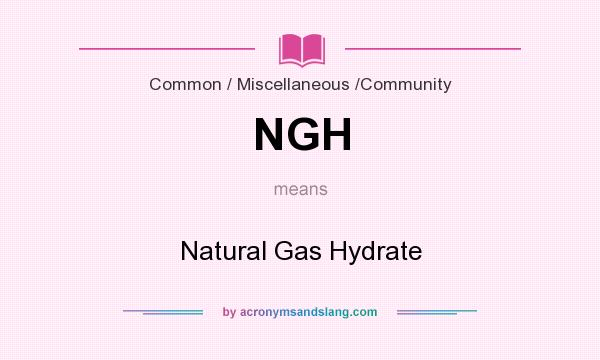 What does NGH mean? It stands for Natural Gas Hydrate