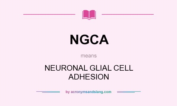 What does NGCA mean? It stands for NEURONAL GLIAL CELL ADHESION
