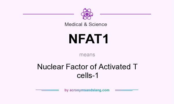 What does NFAT1 mean? It stands for Nuclear Factor of Activated T cells-1
