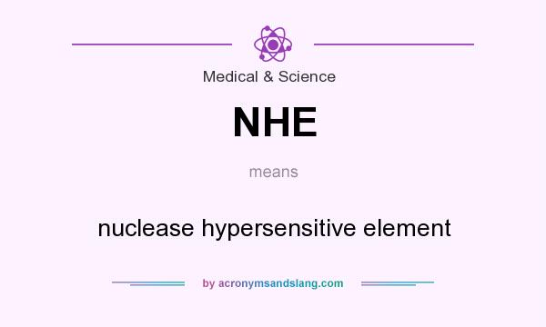 What does NHE mean? It stands for nuclease hypersensitive element