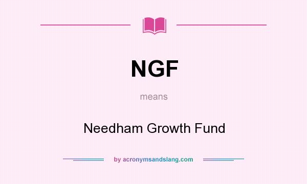 What does NGF mean? It stands for Needham Growth Fund