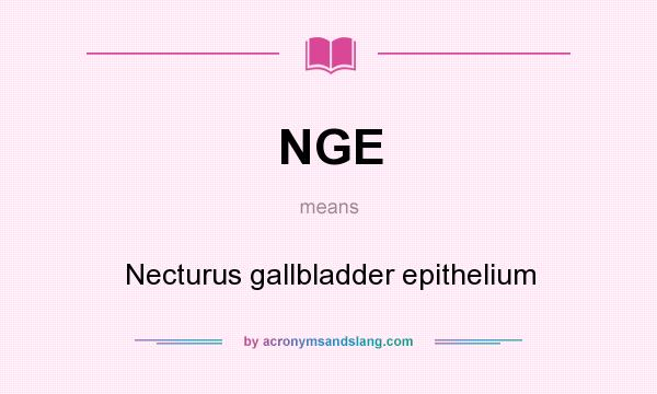 What does NGE mean? It stands for Necturus gallbladder epithelium