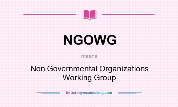 What does NGOWG mean? It stands for Non Governmental Organizations Working Group