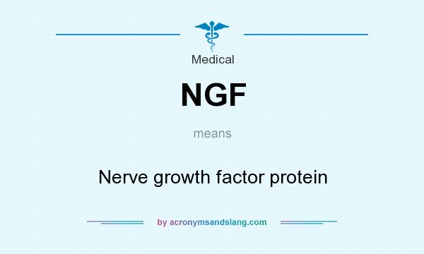 What does NGF mean? It stands for Nerve growth factor protein