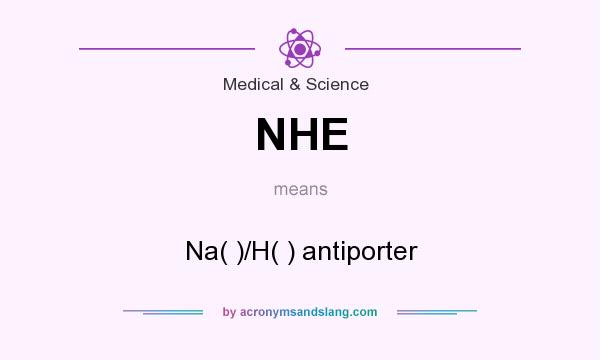 What does NHE mean? It stands for Na( )/H( ) antiporter