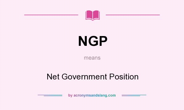 What does NGP mean? It stands for Net Government Position