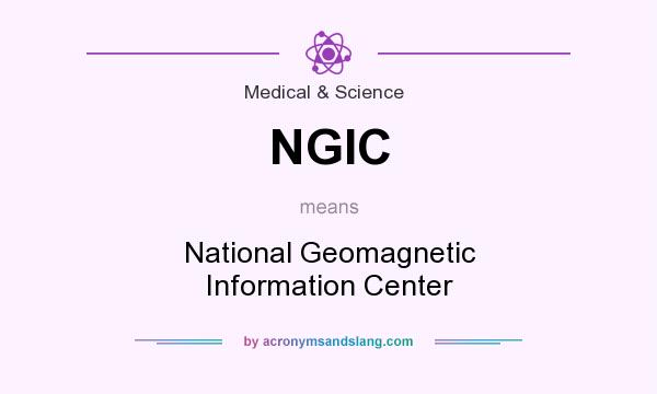 What does NGIC mean? It stands for National Geomagnetic Information Center