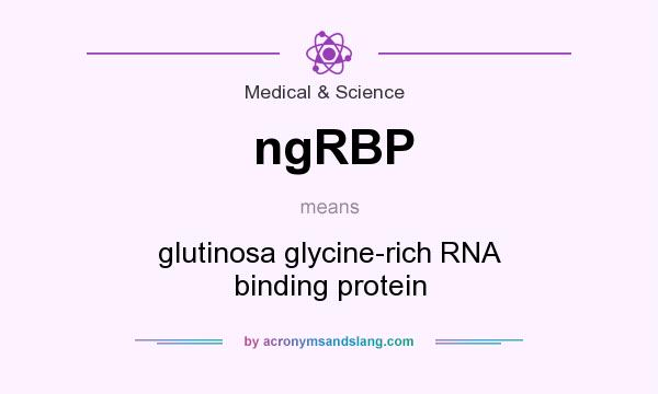 What does ngRBP mean? It stands for glutinosa glycine-rich RNA binding protein