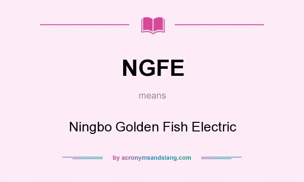 What does NGFE mean? It stands for Ningbo Golden Fish Electric