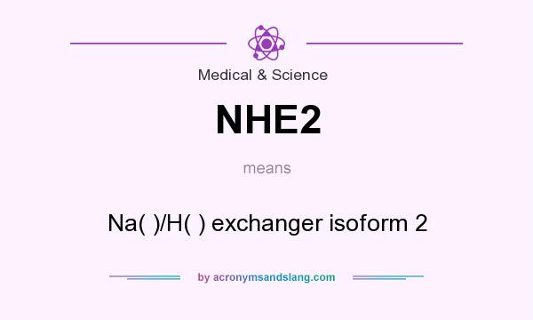 What does NHE2 mean? It stands for Na( )/H( ) exchanger isoform 2