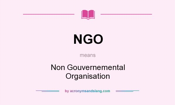What does NGO mean? It stands for Non Gouvernemental Organisation