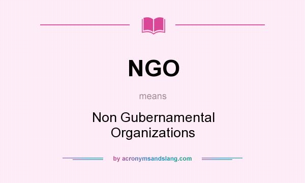 What does NGO mean? It stands for Non Gubernamental Organizations