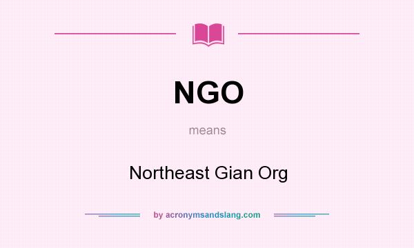 What does NGO mean? It stands for Northeast Gian Org