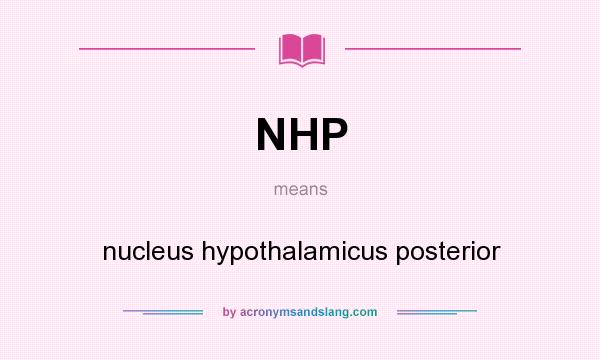 What does NHP mean? It stands for nucleus hypothalamicus posterior