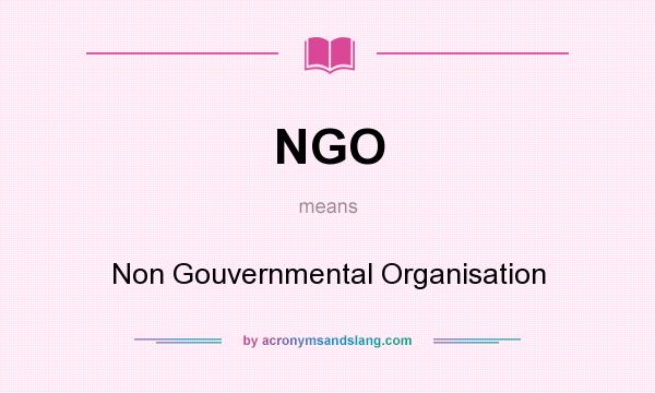 What does NGO mean? It stands for Non Gouvernmental Organisation