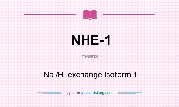 What does NHE-1 mean? It stands for Na /H  exchange isoform 1
