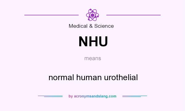 What does NHU mean? It stands for normal human urothelial
