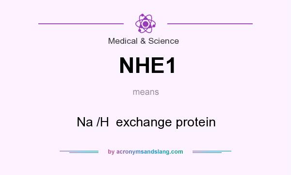What does NHE1 mean? It stands for Na /H  exchange protein