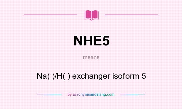 What does NHE5 mean? It stands for Na( )/H( ) exchanger isoform 5
