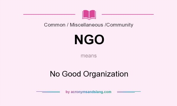 What does NGO mean? It stands for No Good Organization