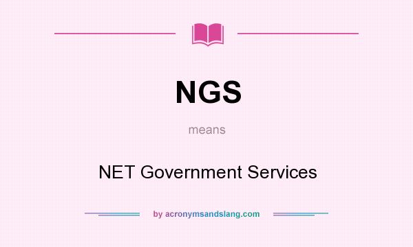 What does NGS mean? It stands for NET Government Services