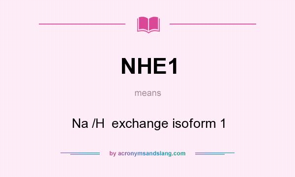 What does NHE1 mean? It stands for Na /H  exchange isoform 1