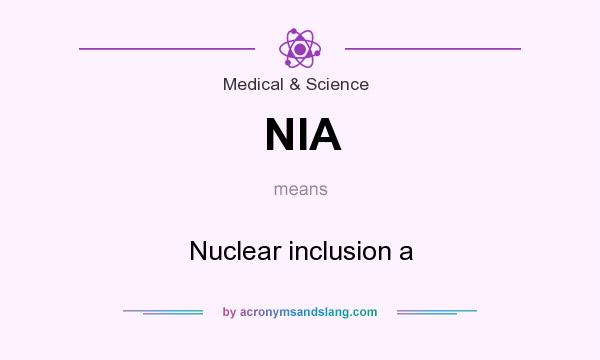 What does NIA mean? It stands for Nuclear inclusion a