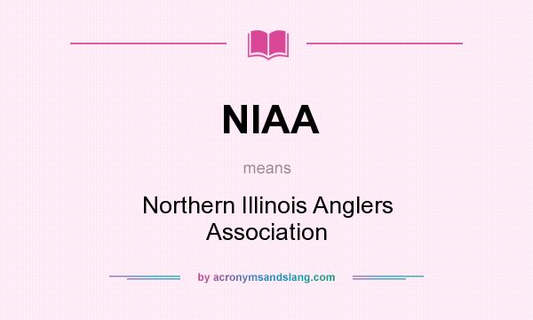 What does NIAA mean? It stands for Northern Illinois Anglers Association