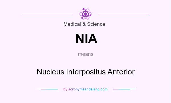 What does NIA mean? It stands for Nucleus Interpositus Anterior