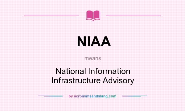 What does NIAA mean? It stands for National Information Infrastructure Advisory