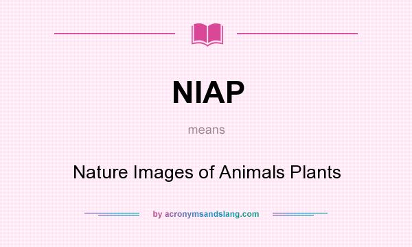 What does NIAP mean? It stands for Nature Images of Animals Plants