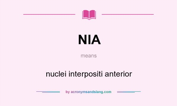 What does NIA mean? It stands for nuclei interpositi anterior