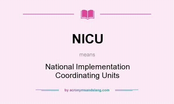 What does NICU mean? It stands for National Implementation Coordinating Units