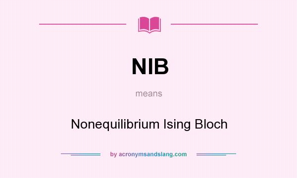 What does NIB mean? It stands for Nonequilibrium Ising Bloch