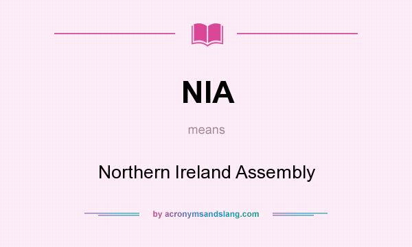 What does NIA mean? It stands for Northern Ireland Assembly