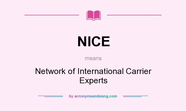 What does NICE mean? It stands for Network of International Carrier Experts