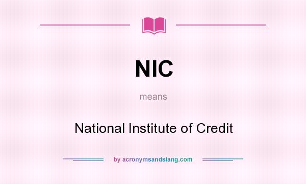 What does NIC mean? It stands for National Institute of Credit