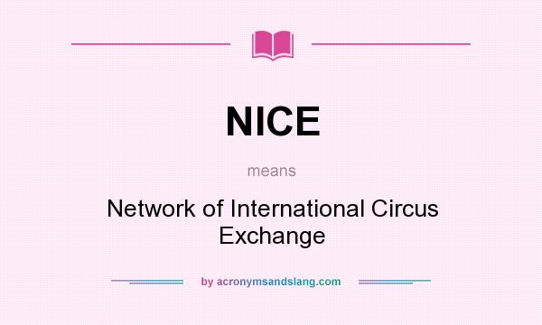 What does NICE mean? It stands for Network of International Circus Exchange