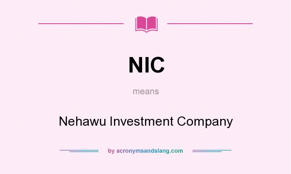 What does NIC mean? It stands for Nehawu Investment Company