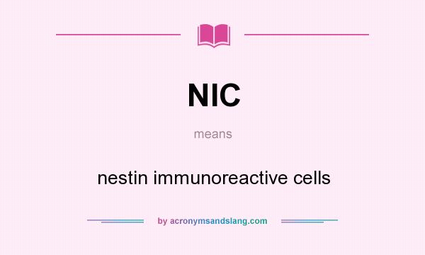 What does NIC mean? It stands for nestin immunoreactive cells