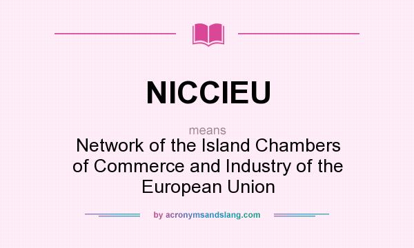 What does NICCIEU mean? It stands for Network of the Island Chambers of Commerce and Industry of the European Union
