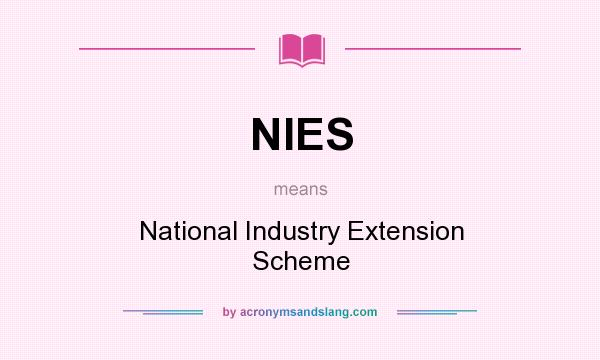 What does NIES mean? It stands for National Industry Extension Scheme