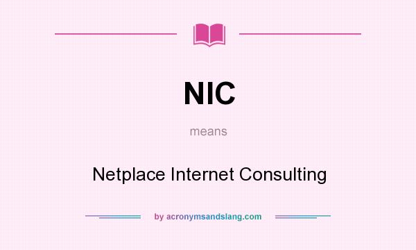 What does NIC mean? It stands for Netplace Internet Consulting