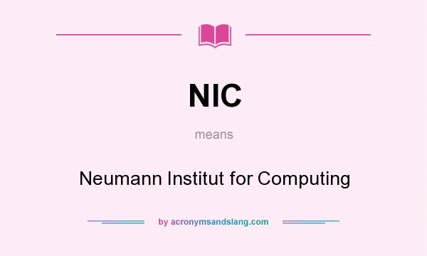 What does NIC mean? It stands for Neumann Institut for Computing