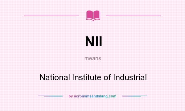 What does NII mean? It stands for National Institute of Industrial