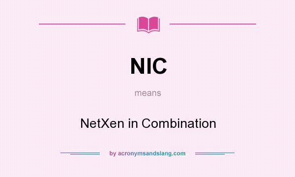 What does NIC mean? It stands for NetXen in Combination