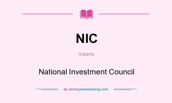 What does NIC mean? It stands for National Investment Council