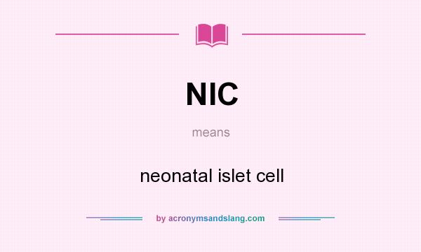 What does NIC mean? It stands for neonatal islet cell