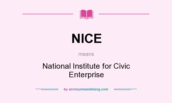 What does NICE mean? It stands for National Institute for Civic Enterprise